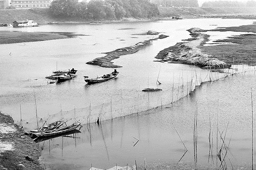 三峽工程 洞庭湖濕地 生態(tài) 濕地生態(tài)