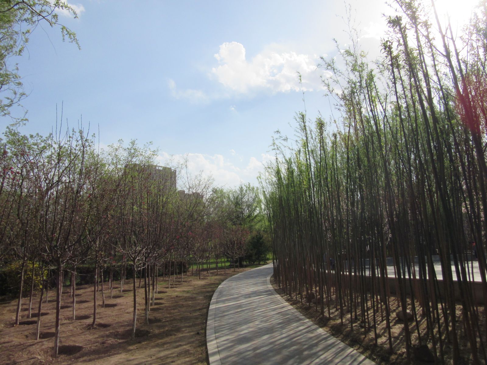 2016園冶杯專業(yè)獎參賽項目:大同市兒童公園改造項目