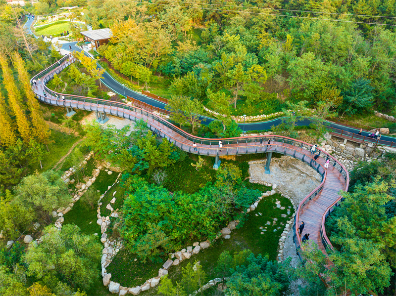 山東青島：建設(shè)公園城市 拓展綠色空間